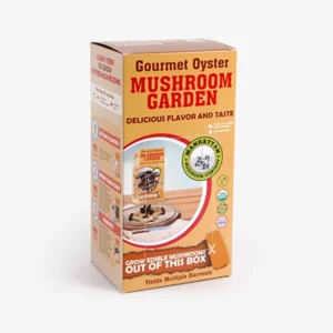 Custom Mushroom Kit Boxes